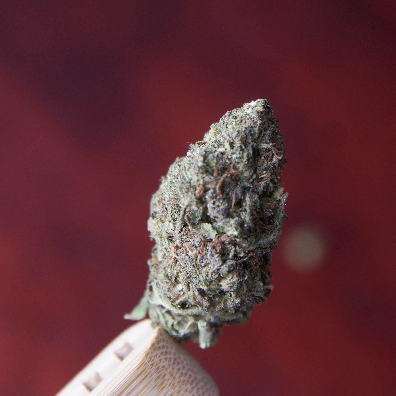 Delta 8 Cannabis Flower